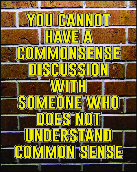You Cannot have a commonsense discussion with someone who does not understand common sense 
