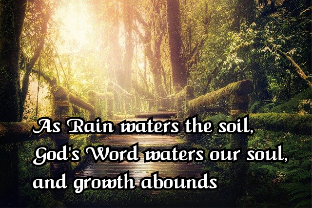 As rain waters the soil God's Word waters our soul, and growth abounds