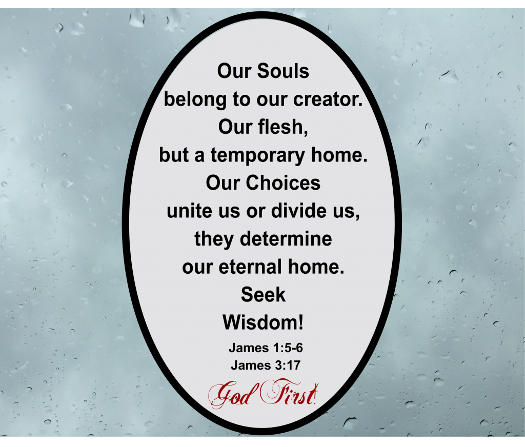 Our Souls belong to our creator. Our flesh, but a temporary home. Our Choices unite us or divide us. They determine our eternal home. Seek Wisdom! James 1:5-6, James 3:17  God First!