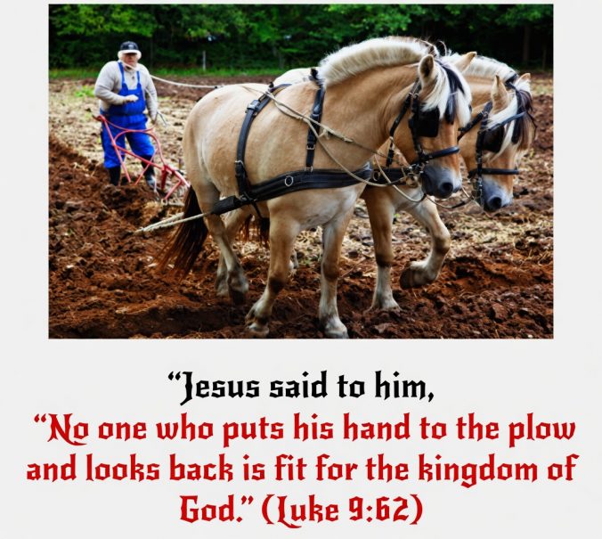 “Jesus said to him, “No one who puts his hand to the plow and looks back is fit for the kingdom of God.” (Luke 9:62)